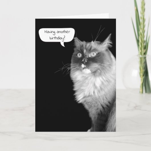 Carte Humour d'anniversaire de Ragdoll (Devant)