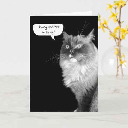 Carte Humour d'anniversaire de Ragdoll (Fleur jaune)