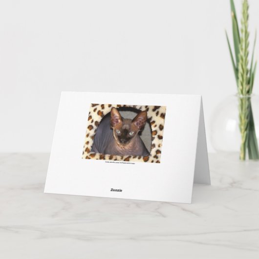 Carte Humour d'anniversaire de Sphinx Cat (Dos)