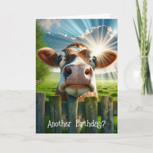 Carte Humour d'anniversaire de vache lunaire