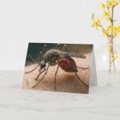 Carte Humour d'anniversaire des moustiques (Fleur jaune)