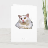 Carte Humour d'anniversaire du chat blanc (Dos)