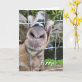 Carte Humour d'anniversaire du noeud de chèvre (Fleur jaune)