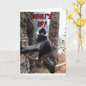 Carte Humour D'ANNIVERSAIRE ET D'ÂGE POUR MON "FAVORITE (Fleur jaune)