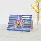 Carte humour d'anniversaire golden retriever (Fleur jaune)