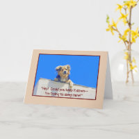 HUMOUR D'ANNIVERSAIRE/ LAISSER LES CHIENS ENDORMIS