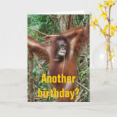 Carte Humour d'anniversaire magnifique (Fleur jaune)