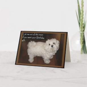 Carte Humour d'anniversaire maltais