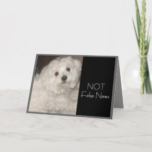 Carte Humour d'anniversaire maltais pour tout le monde