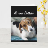 Carte Humour d'anniversaire ne mangez pas tout ce gâteau (Fleur jaune)