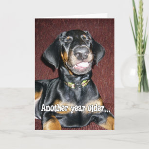 Carte Humour d'anniversaire - Souriant Doberman Pinscher