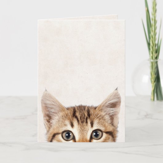 Carte Humour d'anniversaire Tabby kitten (Devant)