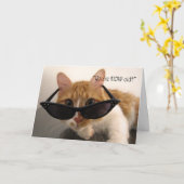 Carte Humour d'anniversaire - Vous avez QUEL âge ? Chat (Fleur jaune)