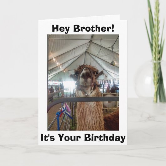 CARTE *HUMOUR DE BROTHER* LAMA À VOTRE ANNIVERSAIRE (Devant)
