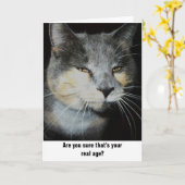 Carte Humour de chat d'anniversaire (Fleur jaune)