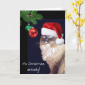 Carte Humour de chat de Noël Ragdoll (Fleur jaune)