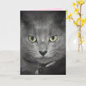 Carte Humour de chat gris anniversaire (Fleur jaune)
