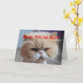 Carte Humour de chat persan d'anniversaire de frère (Fleur jaune)
