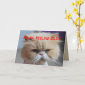 Carte Humour de chat persan d'anniversaire de frère (Fleur jaune)