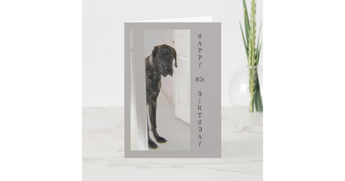 Carte Humour De Joyeux Anniversaire De Chien De Great Zazzle Be