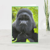 Carte Humour de la peste (Devant)