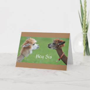 Carte Humour DE SOEUR POUR MON FAV *ANNIVERSAIRE DE SOEU