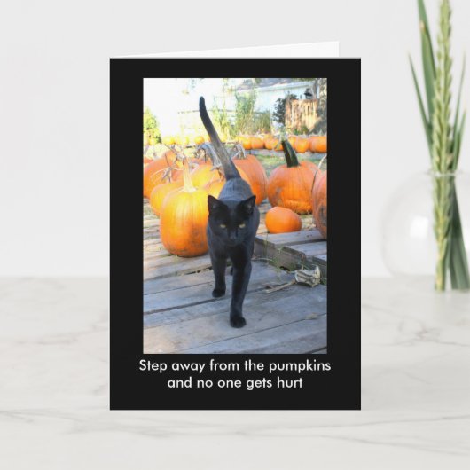 Carte Humour d'Halloween du chat du Gardien Citrouille (Devant)