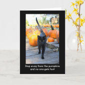 Carte Humour d'Halloween du chat du Gardien Citrouille (Fleur jaune)