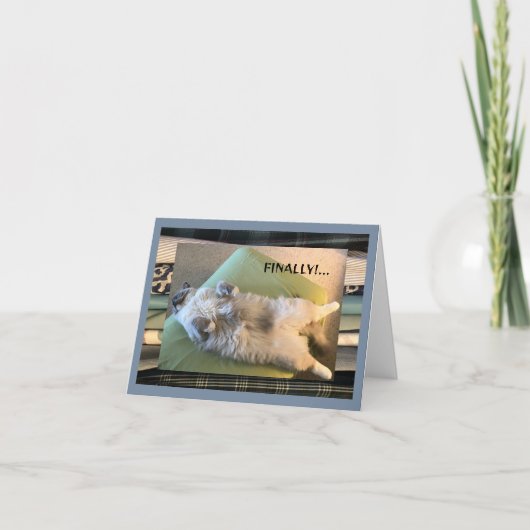 Carte Humour, drôle et stupide (Devant)