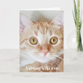Carte humour du chat tabby d'anniversaire (Devant)