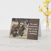 CARTE **HUMOUR POUR LES 50 ANS DE LA PART DE ÂNES ET PAS (Fleur jaune)