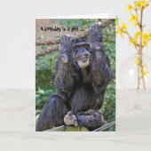 Carte Humour sauvage de Chimp (Fleur jaune)