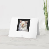 Carte Humour siamois d'anniversaire de chaton (Dos)