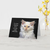 Carte Humour siamois d'anniversaire de chaton (Fleur jaune)