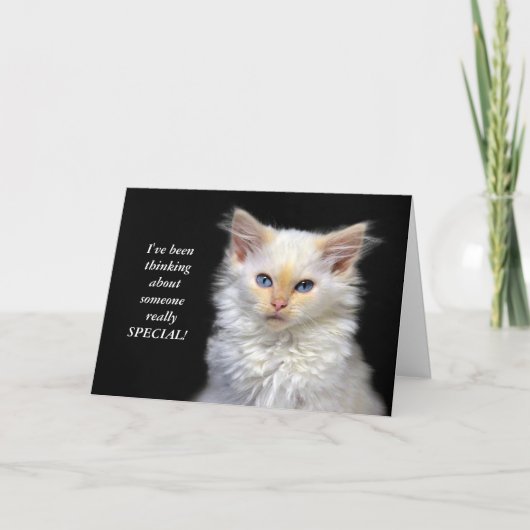 Carte Humour siamois d'anniversaire de chaton (Devant)