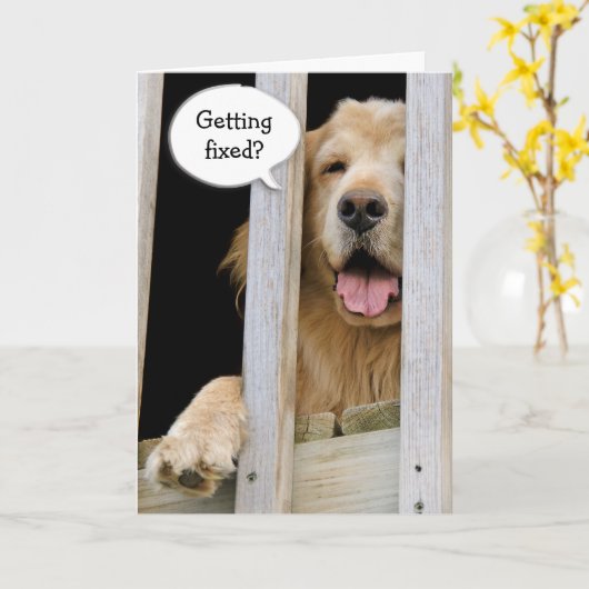 Carte Humour sur la vasectomie (Fleur jaune)