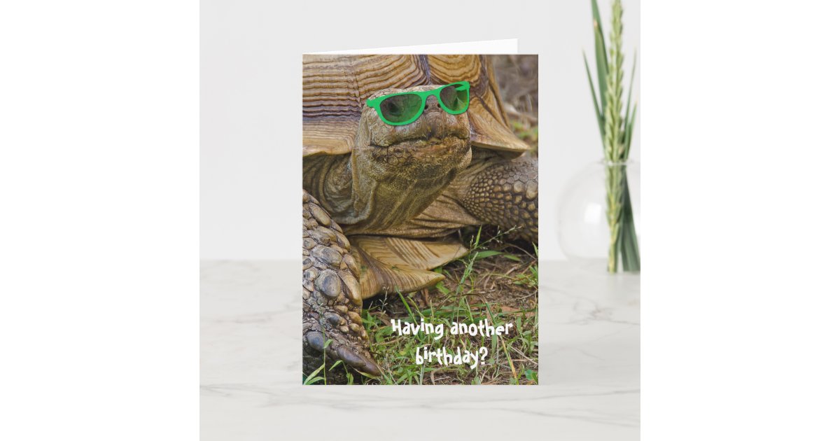 Carte Humour Vieille Tortue D Anniversaire En Verres Zazzle Be Carte Humour Vieille Tortue D Anniversaire En Verres Zazzle Be
