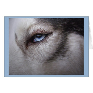 Carte Husky Card Blank Sled Dog Husky Card