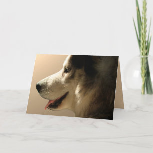 Carte Husky Carte Malamute Alaskan Personnalisée