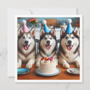 Carte Husky, carte photo Husky, anniversaire de ch
