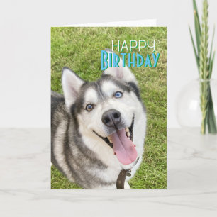 Carte Husky Happy Birthday Card chien