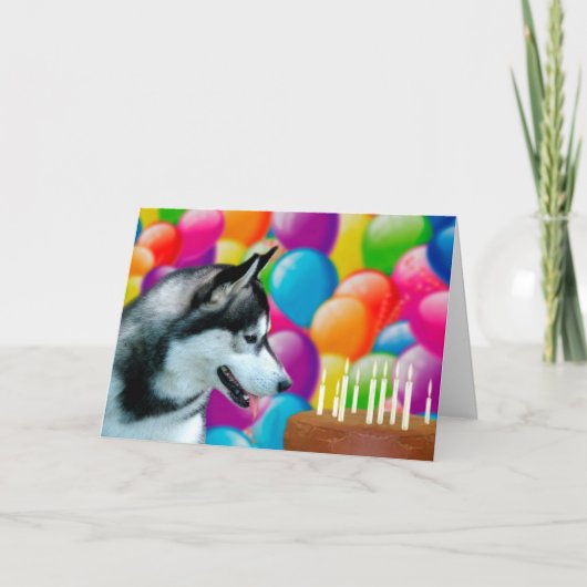 Carte Husky Joyeux anniversaire (Devant)