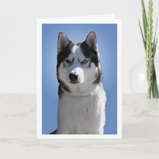 Carte Husky Sibérienne / Carte Malamute Alaskan vi (Devant)