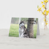 Carte Husky Thinking of You Greeting Card (Fleur jaune)