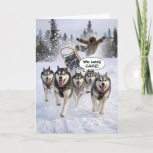 Carte Husky tirant un traîneau pour l'humour d'anniversa