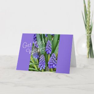 Carte Hyacinthes de raisins - personnaliser pour toute o