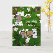 Carte Hydrangea Aspera - Allez-Y Bientôt (Fleur jaune)