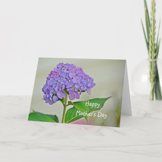 Carte Hydrangea de la fête des Mères (Devant)