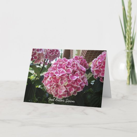 Carte Hydrangea Get Well Card (Devant)