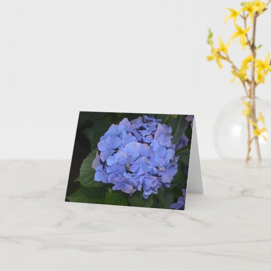 Carte Hydrangea macrophylla violette rustique (Fleur jaune)